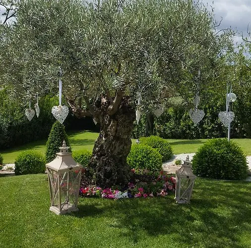 Acomodação com café da manhã  Sant'alessandro Roma